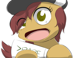 Size: 1280x1024 | Tagged: safe, artist:littlebrownzebraicarus, oc, oc only, oc:cinema stream, /mlp/ streams, >rape, hat