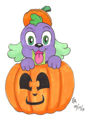 Size: 800x1083 | Tagged: safe, artist:mayorlight, spike, dog, equestria girls, halloween, jack-o-lantern, nightmare night, pumpkin, spike the dog, traditional art