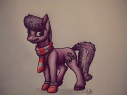 Size: 3200x2400 | Tagged: safe, artist:lupiarts, part of a set, cheerilee, pony, advent calendar, clothes, scarf, socks, solo, traditional art