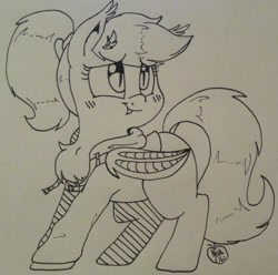 Size: 1280x1269 | Tagged: safe, artist:notenoughapples, oc, oc only, oc:fluf, bat pony, pony, bat ponified, chest fluff, inktober, monochrome, race swap, solo, traditional art