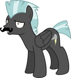 Size: 2902x3175 | Tagged: safe, artist:fonypony, thunderlane, pegasus, pony, derp, male, moustache, simple background, solo, stallion, transparent background, vector, wide eyes