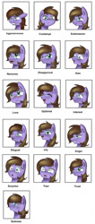 Size: 583x1370 | Tagged: safe, artist:pridark, oc, oc only, oc:thunder chaser, emotional spectrum, reference sheet