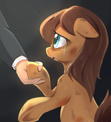 Size: 676x740 | Tagged: artist needed, safe, oc, oc only, oc:anon, oc:morning glory, oc:rentalove, earth pony, human, pony, /mlp/, blood, bruised, crying, dirty, hand, holding hooves, human on pony hoof holding, nosebleed, offscreen character, underhoof