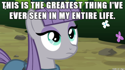 Size: 610x343 | Tagged: safe, derpibooru import, maud pie, image macro, meme, reaction image