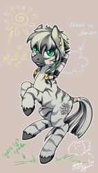 Size: 600x1060 | Tagged: safe, artist:arctic-fox, oc, oc only, oc:patrick poe, zebra, braid, earring, female, mare, piercing, russian, solo