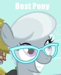 Size: 362x447 | Tagged: safe, artist:aa, screencap, silver spoon, best pony, image macro, meme