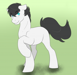 Size: 500x487 | Tagged: safe, artist:kobayashi-maruu, earth pony, pony, male, stallion