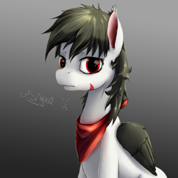 Size: 1000x1000 | Tagged: safe, artist:usager, oc, oc only, pegasus, pony, zebra, solo