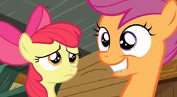 Size: 1323x726 | Tagged: safe, derpibooru import, screencap, apple bloom, scootaloo, smiling