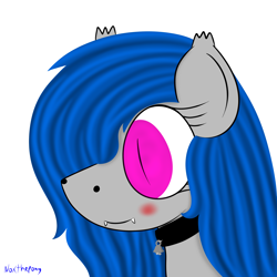 Size: 2500x2500 | Tagged: safe, artist:asknoxthepony, oc, oc only, oc:dream chaser, bust, collar, female, portrait, solo