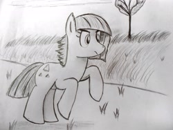 Size: 2592x1944 | Tagged: safe, artist:autumnleaf1230, limestone pie, grass, monochrome, sketch, solo, tree