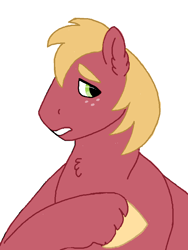 Size: 600x800 | Tagged: safe, artist:graffiti, big macintosh, earth pony, pony, male, paintberri, raised hoof, solo, stallion