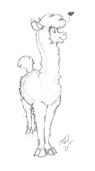 Size: 484x870 | Tagged: safe, artist:carnivorouscaribou, paprika paca, alpaca, them's fightin' herds, community related, heart, monochrome, sketch, traditional art