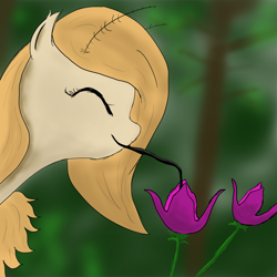 Size: 1200x1200 | Tagged: safe, artist:lunaerix, oc, oc only, oc:sweet silk, mothpony, original species, solo