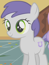 Size: 426x568 | Tagged: safe, screencap, tornado bolt, earth pony, pony, call of the cutie, solo