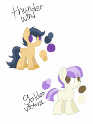Size: 1536x2048 | Tagged: safe, artist:smileverse, oc, oc only, oc:golden victory, oc:thunder wind, earth pony, pegasus, pony, offspring, parent:diamond tiara, parent:featherweight, parent:rumble, parent:scootaloo, parents:diamondweight, parents:rumbloo, reference sheet, simple background