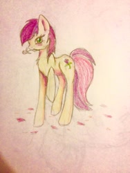 Size: 720x960 | Tagged: safe, artist:serenity, roseluck, looking at you, rose, rose petals, solo, traditional art