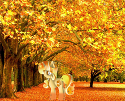 Size: 1024x825 | Tagged: safe, artist:darkheartthepegasus, oc, oc only, oc:stargrown glow, autumn, gradient hooves, gradient mane, irl, leaves, photo, ponies in real life, stars, tree, universe pony