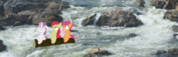 Size: 1920x616 | Tagged: safe, edit, apple bloom, scootaloo, sweetie belle, cutie mark crusaders, irl, photo, ponies in real life, rapids, scared, this will end in tears and/or death, this will end in tears and/or death and/or covered in tree sap, vector