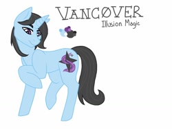 Size: 1024x768 | Tagged: safe, artist:blue-razaberry, oc, oc only, oc:vancover, magical lesbian spawn, offspring, parent:octavia melody, parent:trixie, solo