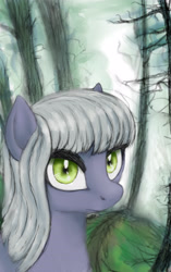 Size: 2758x4400 | Tagged: safe, artist:plotcore, limestone pie, forest, looking at you, solo