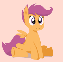 Size: 686x674 | Tagged: safe, artist:i_luv_scootaloo, scootaloo, pegasus, pony, female, filly, looking at you, pink background, simple background, sitting, solo, spread wings, wings