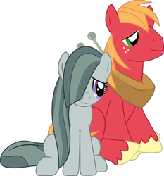 Size: 3134x3369 | Tagged: safe, artist:sketchmcreations, big macintosh, marble pie, earth pony, pony, hearthbreakers, freckles, hair over one eye, male, marblemac, shipping, simple background, sitting, stallion, straight, transparent background, vector