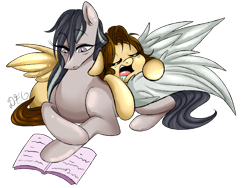 Size: 1024x768 | Tagged: safe, artist:dragonfoxgirl, oc, oc only, oc:hurricane, oc:kite, reading, simple background, sleeping, transparent background