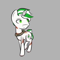 Size: 894x894 | Tagged: safe, oc, oc only, oc:mint leaf, fallout equestria, bomb collar, collar, green eyes, looking away, scar, simple background, solo, standing