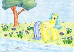 Size: 1024x724 | Tagged: safe, artist:normaleeinsane, g3, flower, meadowbrook (g3), river, solo, stream, traditional art, tree