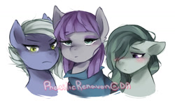 Size: 1024x645 | Tagged: safe, artist:phasilicrenavon, limestone pie, marble pie, maud pie, blushing, pie sisters