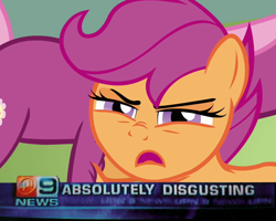 Size: 1000x800 | Tagged: safe, edit, edited screencap, screencap, cheerilee, scootaloo, hearts and hooves day (episode), absolutely disgusting, hearts and hooves day, image macro, meme, solo focus