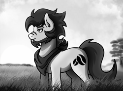 Size: 2919x2160 | Tagged: safe, artist:ciderpunk, derpibooru exclusive, oc, oc only, oc:coldbrewcoffee, black and white, clothes, field, grayscale, monochrome, scarf, solo