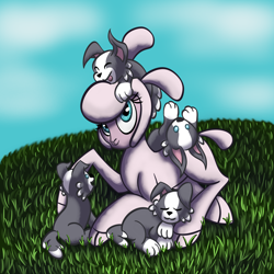 Size: 2000x2000 | Tagged: safe, artist:geminishadows, pom lamb, dog, lamb, sheep, sheep dog, them's fightin' herds, community related, puppy