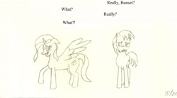 Size: 2560x1408 | Tagged: safe, artist:charliemane, part of a series, part of a set, oc, oc only, oc:bunset shimmer, oc:burnt umber, alicorn, pony, alicorn oc, burnt buns, lineart, monochrome, traditional art, tutorial