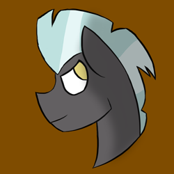 Size: 1000x1000 | Tagged: safe, artist:goldenled, thunderlane, pegasus, pony, bust, male, portrait, simple background, solo, stallion