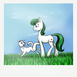 Size: 1200x1200 | Tagged: safe, artist:28gooddays, derpibooru import, dog, earth pony, pony