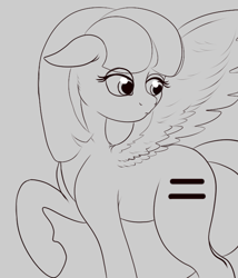 Size: 600x700 | Tagged: safe, artist:swampy, night glider, /mlp/, 4chan, equalized, solo