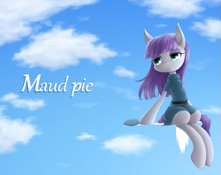 Size: 1117x886 | Tagged: safe, artist:hashioaryut, boulder (pet), maud pie, cloud, pixiv, solo