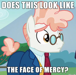 Size: 610x602 | Tagged: safe, edit, edited screencap, screencap, svengallop, the mane attraction, face of mercy, image macro, meme, sad, solo, svenabetes