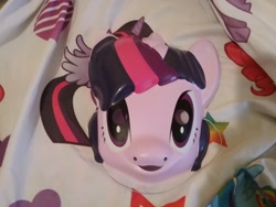 Size: 2592x1944 | Tagged: safe, twilight sparkle, twilight sparkle (alicorn), alicorn, pony, craft, female, mare, mask