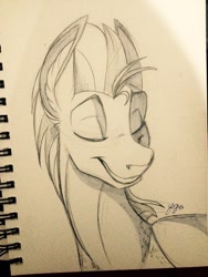 Size: 960x1280 | Tagged: safe, artist:probablyfakeblonde, oc, oc only, oc:andrew swiftwing, pegasus, pony, eyes closed, handsome, male, sketch, smiling, solo, stallion