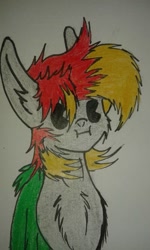 Size: 576x960 | Tagged: safe, artist:infernal69, oc, oc only, :i, art, solo, traditional art