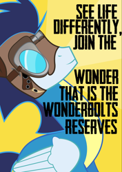 Size: 1488x2105 | Tagged: safe, artist:eddie-shadows, soarin', pony, poster, propaganda, solo, wonderbolts