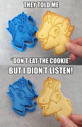 Size: 718x1111 | Tagged: safe, artist:crimson-mane, party favor, the cutie map, cookie, cookie cutter, exploitable meme, food art, i didn't listen, image macro, irl, meme, photo, solo