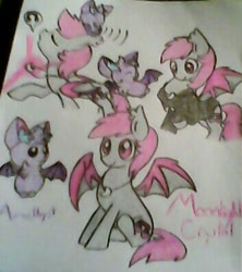 Size: 353x398 | Tagged: safe, artist:batponyoc, oc, oc only, oc:amethyst, oc:moonlight crystal, bat, bat pony, fruit bat, pony, clothes, hoodie, necklace, solo, traditional art