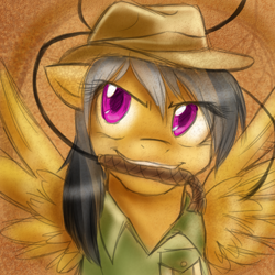 Size: 500x500 | Tagged: safe, artist:ask-daringdo, daring do, pegasus, pony, bust, female, mare, mouth hold, portrait, solo, whip