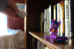 Size: 1280x853 | Tagged: safe, artist:dustysculptures, twilight sparkle, pony, unicorn, book, bookgasm, bookshelf, craft, cute, happy, irl, photo, sculpture, solo, that pony sure does love books, twiabetes