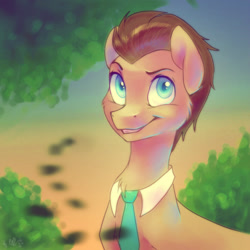 Size: 1485x1485 | Tagged: safe, artist:whitelily24, doctor whooves, pony, male, solo, stallion