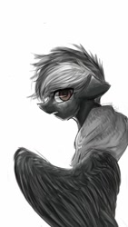 Size: 600x1066 | Tagged: safe, artist:fw9z9mg6xi7ih2z, oc, oc only, pegasus, pony, solo